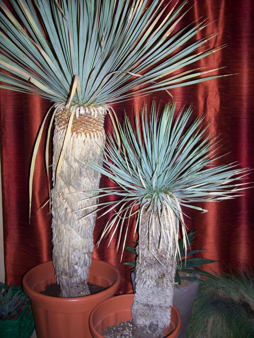 Photo 4344.jpg