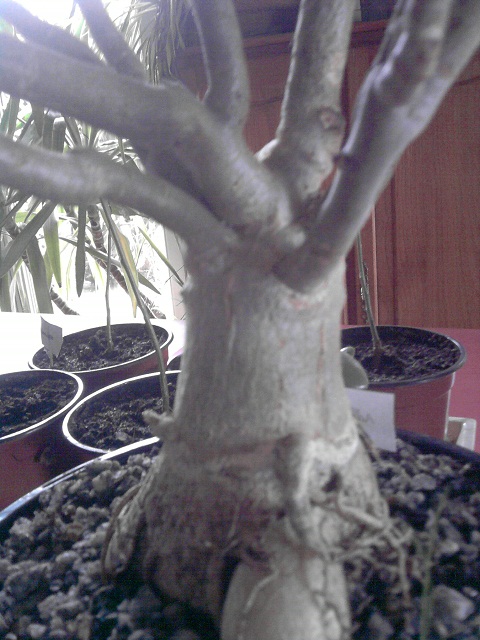 P030213_11.45.jpg