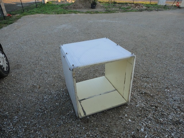 011.JPG