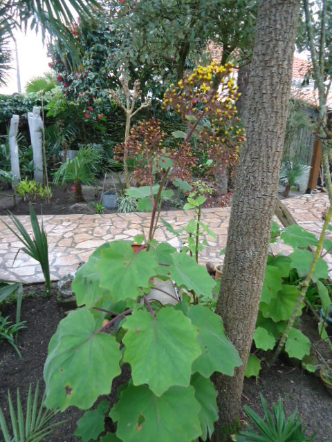 DSC01162.JPG