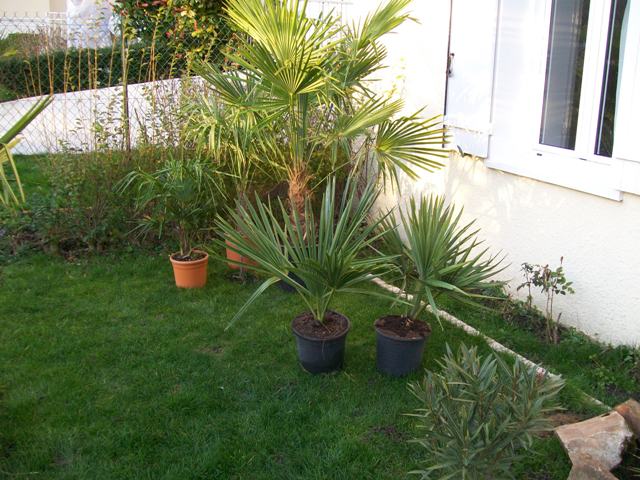 Photo 783.jpg