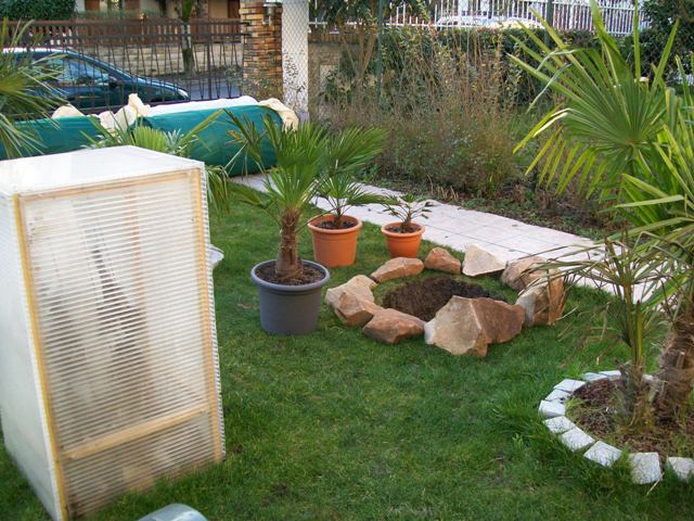 Photo 780.jpg