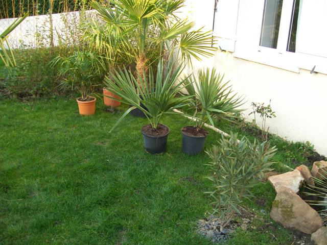 Photo 779.jpg