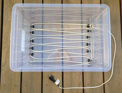 germination-technique-1.jpg