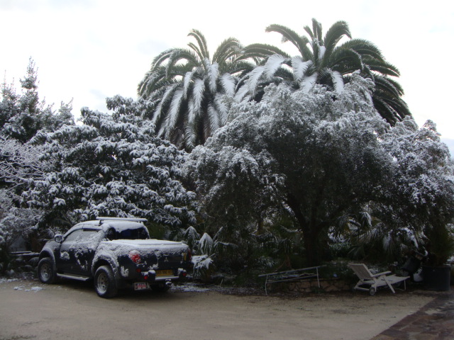 DSC01637.JPG
