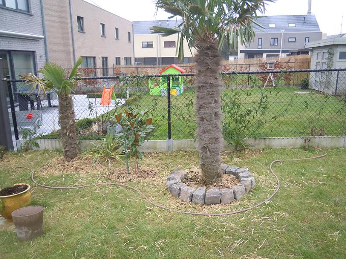 DSCN3098.jpg