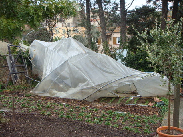 DSC01658.JPG