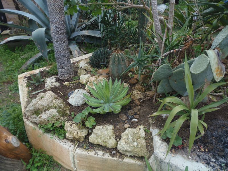 P3130069 [800x600].JPG