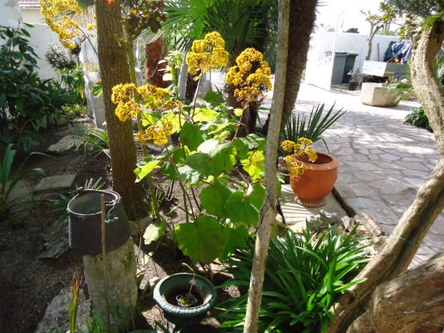 DSC01185.jpg