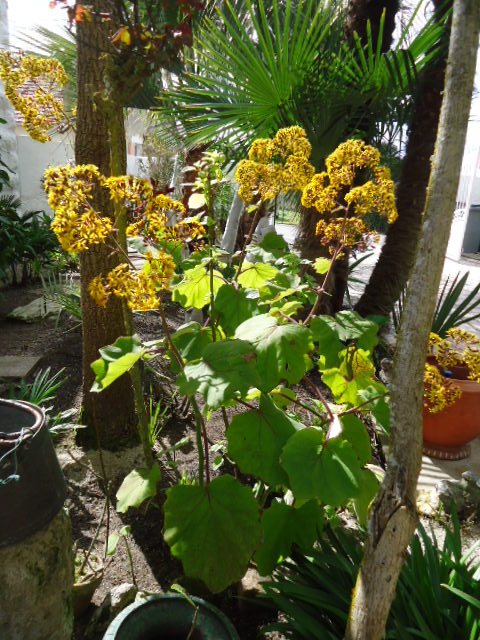 DSC01187.JPG