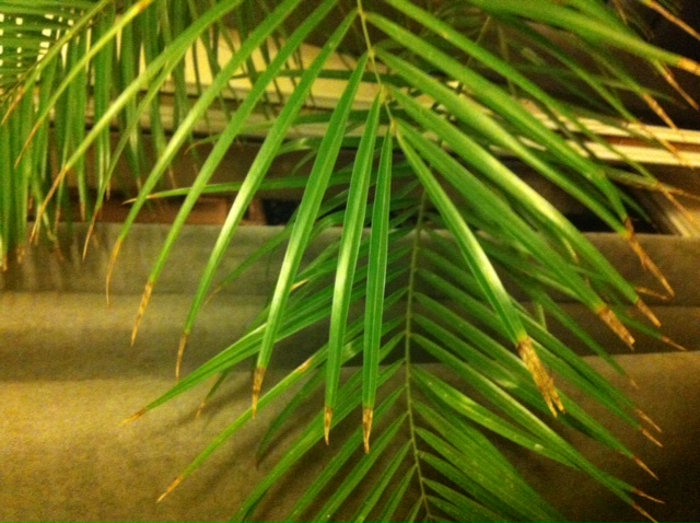 photo 5.JPG