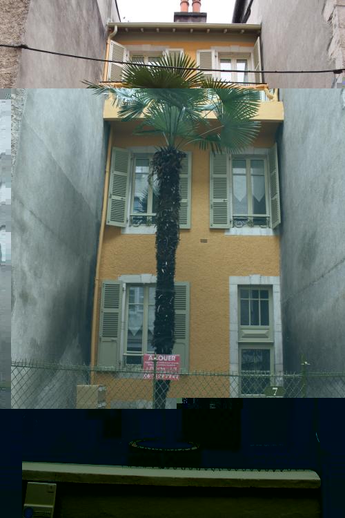 A louer.jpg