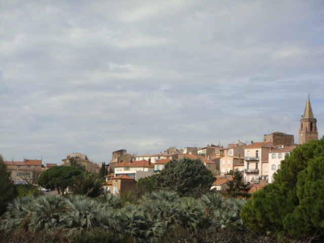 DSC01660.JPG
