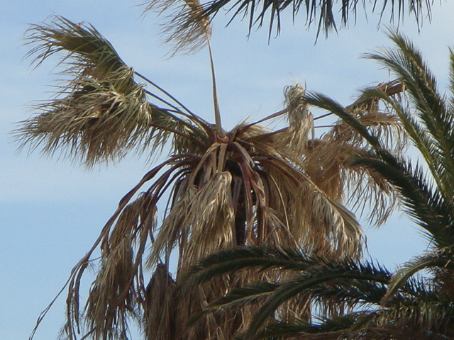 DSC01662.JPG