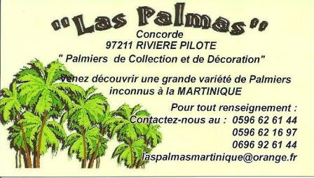 las palmas 001 - Copie.jpg