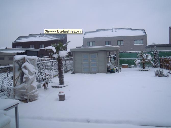 jardin.jpg