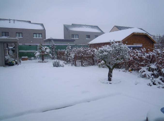 JARDIN1.jpg