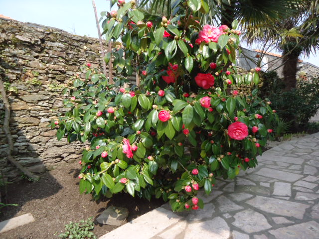 DSC01194.JPG