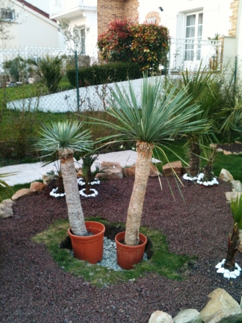 yucca ranch.JPG