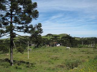 IMG_2728.JPG