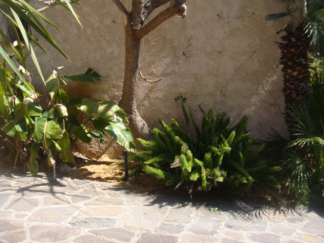 DSC04961.JPG