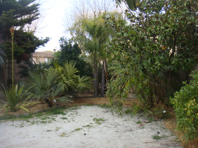 DSC04965.JPG