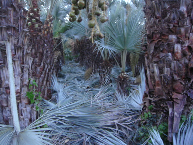 DSC01671.JPG