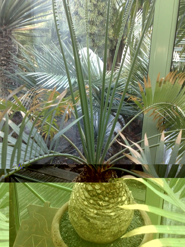 04012010566FDP.jpg