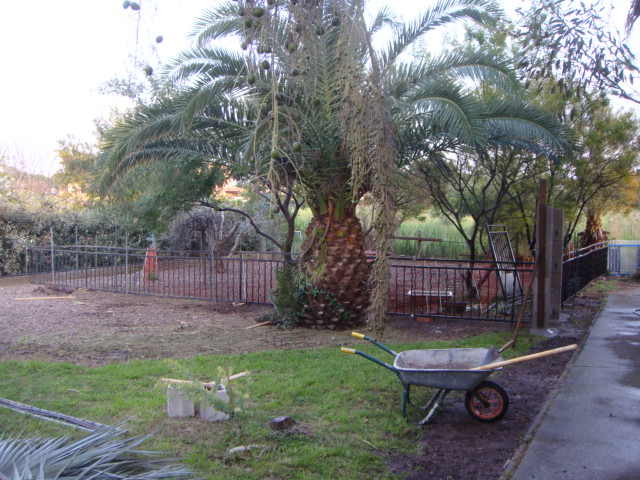 DSC01673.JPG