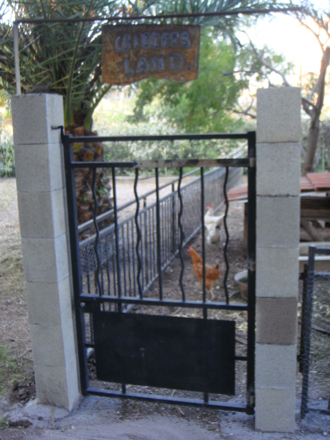 DSC01676.JPG