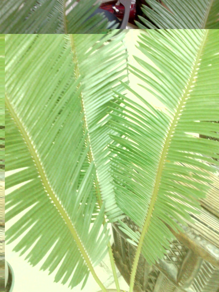 13012010598FDP.jpg