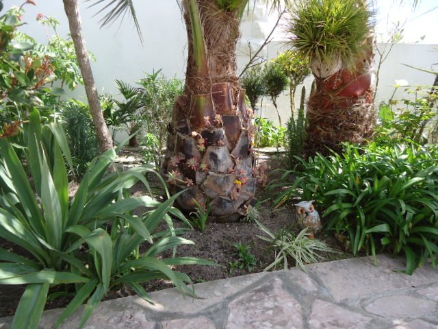 DSC01230.JPG