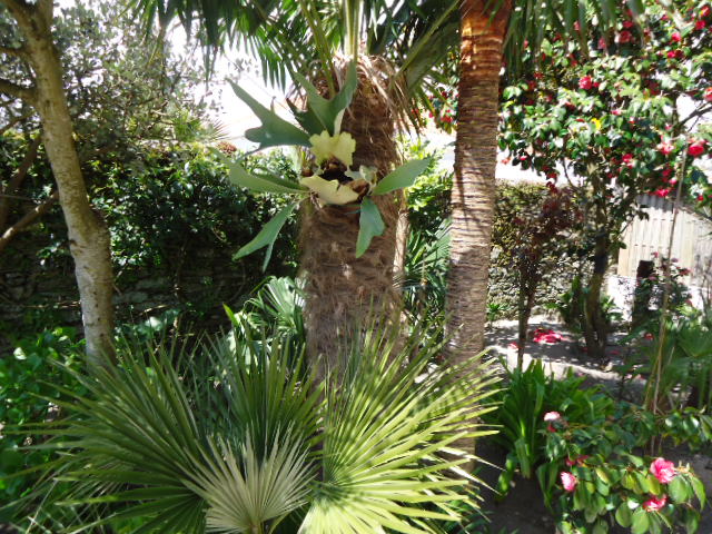 DSC01227.JPG
