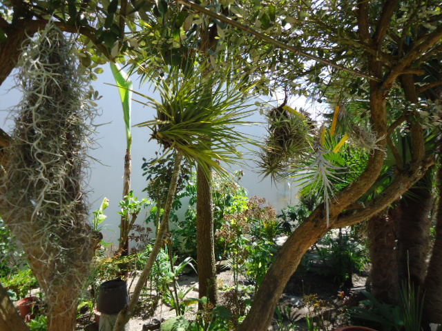 DSC01233.JPG