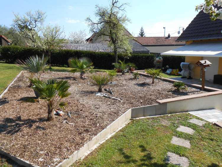 DSCN0596.JPG
