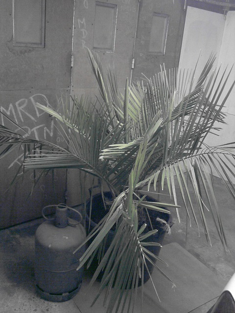 P260413_22.01.jpg