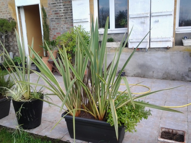 20130423_183135.jpg