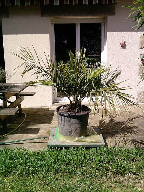 P280413_15.50.jpg