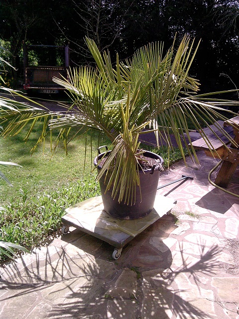 P280413_15.51.jpg