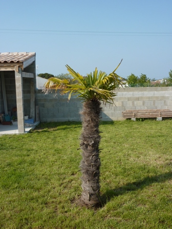 P1080203.JPG