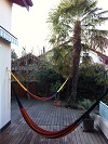 Mon Trachi royal  comme au Mexique