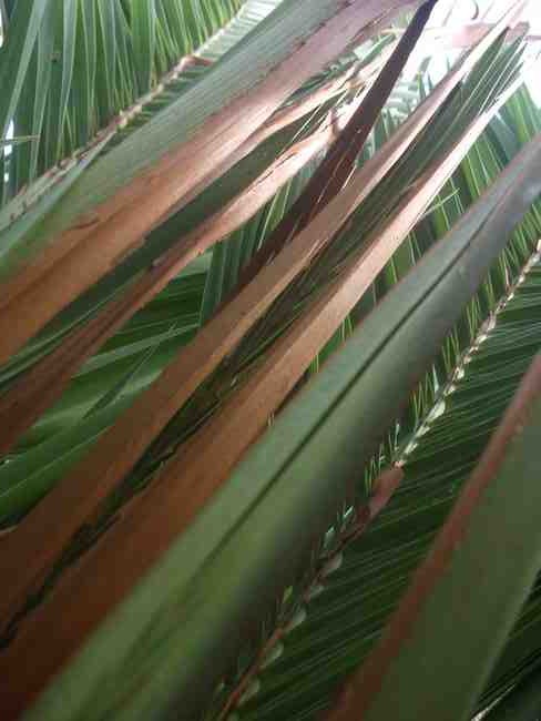 DSCF0836.JPG