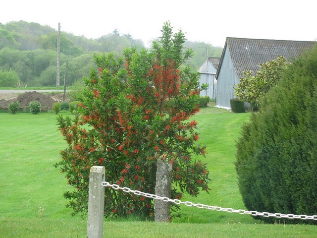 IMG_8264.JPG
