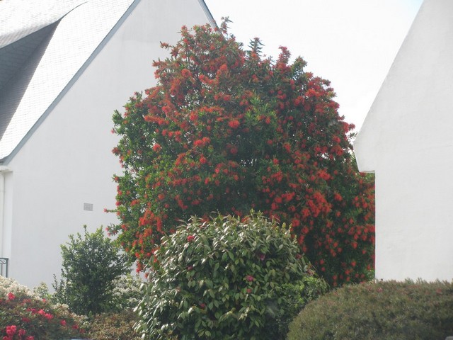 IMG_8276.JPG
