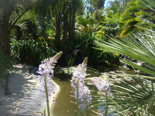 DSC05008.JPG