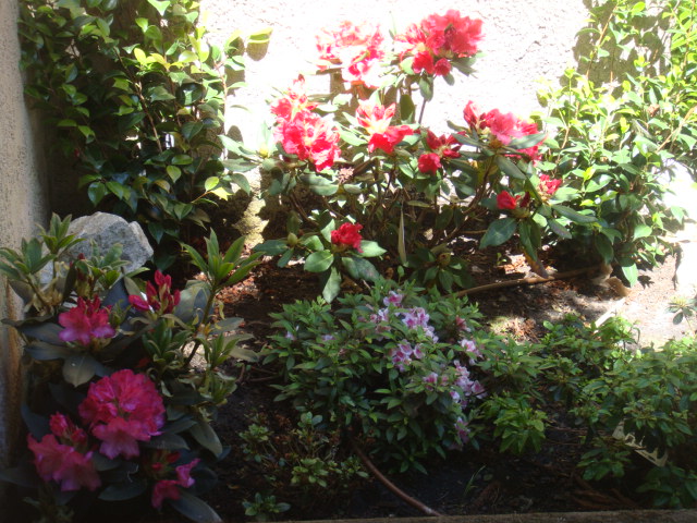 DSC05004.JPG