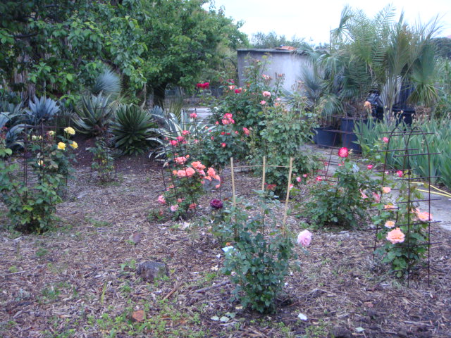 DSC01679.JPG