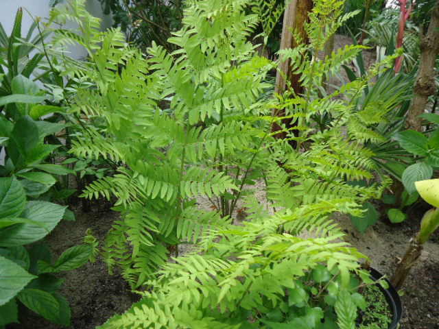 DSC01261.JPG