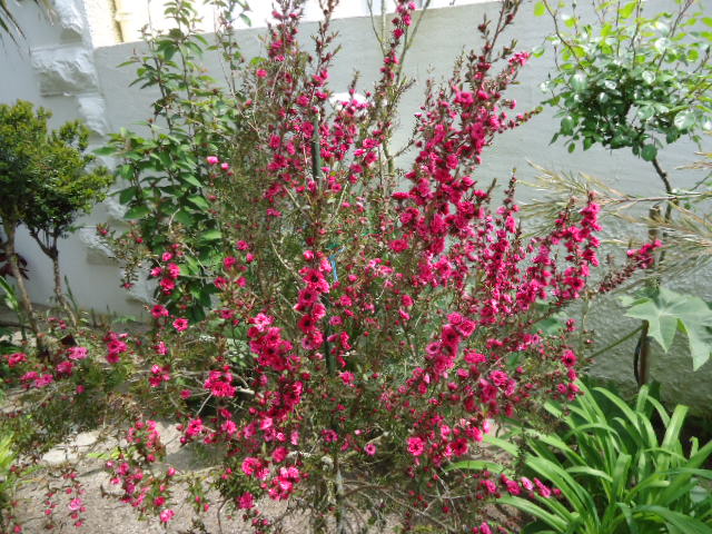 DSC01262.JPG