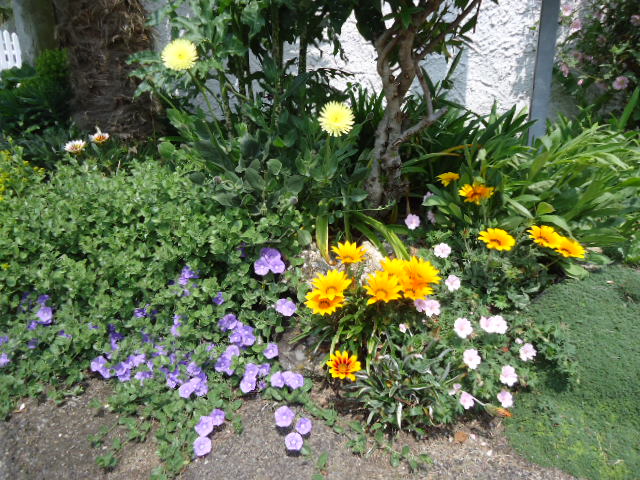 DSC01271.JPG